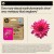 HP Oryginalny purpurowy tusz 924e EvoMore