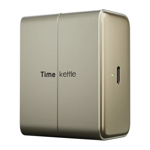 Słuchawki tłumaczące TWS TimeKettle W4 Plus (złote)