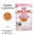 ROYAL CANIN FHN Kitten Instinctive in Jelly  - mokra karma dla kociąt - 12x85g