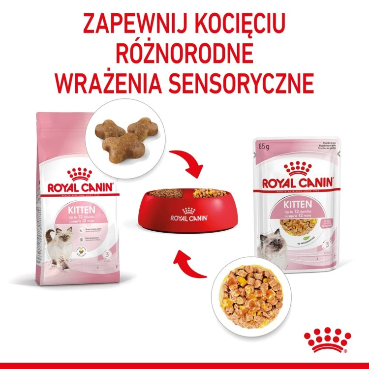 ROYAL CANIN FHN Kitten Instinctive in Jelly  - mokra karma dla kociąt - 12x85g