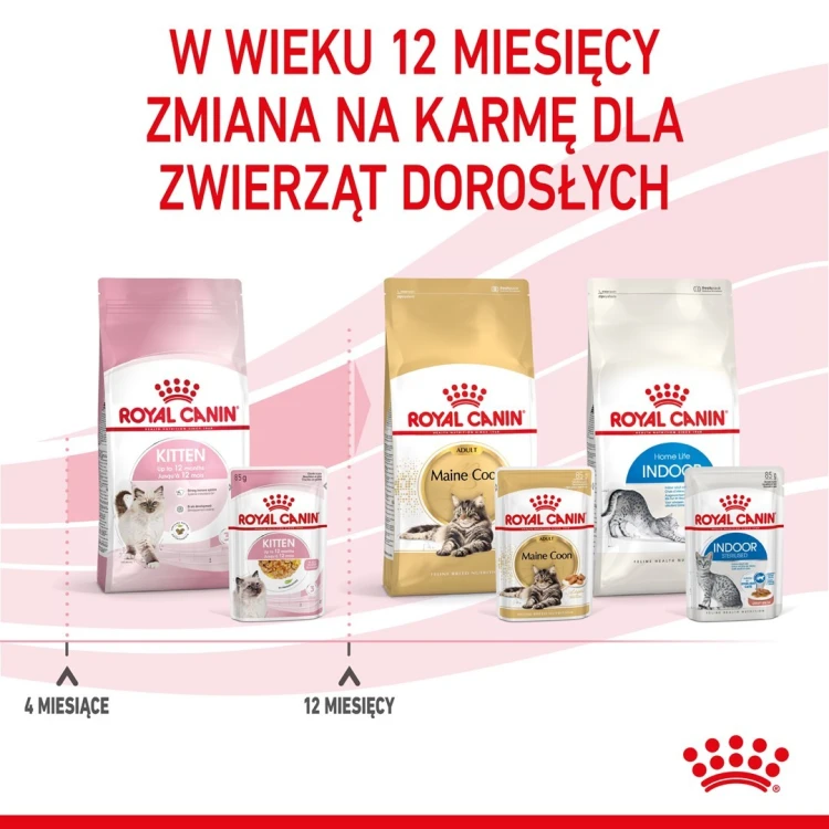 ROYAL CANIN FHN Kitten Instinctive in Jelly  - mokra karma dla kociąt - 12x85g