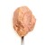 3Coty CHICKEN + DUCK for Kittens 80g