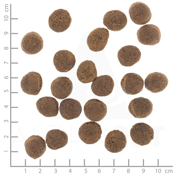 WOLFSBLUT VETLINE GASTROINTESTINAL 12KG
