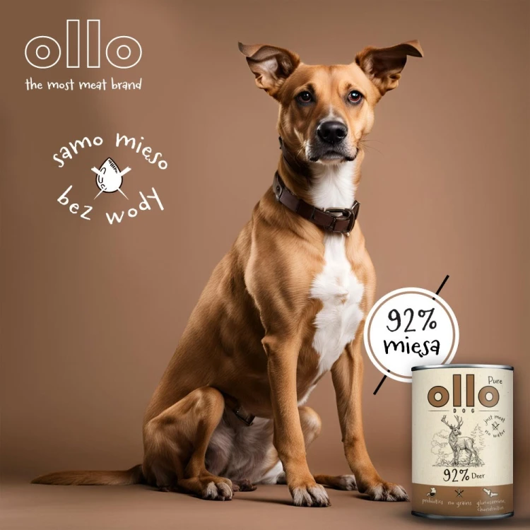 Ollo Pure Jeleń 850g