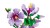 LEGO Botanical Collection 10372 - Hibiskus