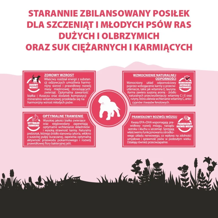PUPIL PREMIUM JUNIOR XL bogata w wołowinę 12kg