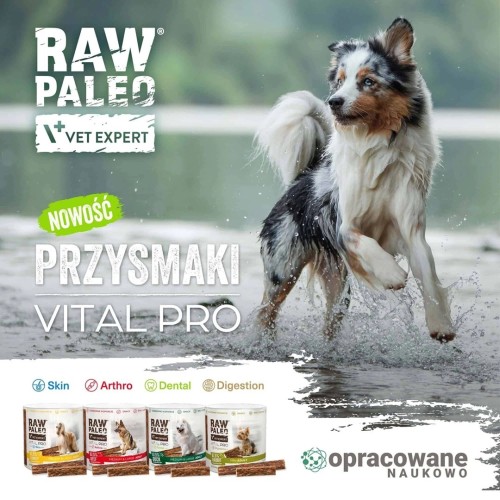 VetExpert Raw Paleo Vital Pro dental duck medium large 100g