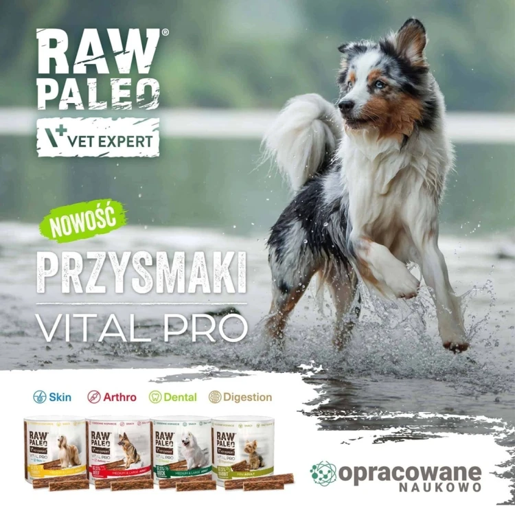 VetExpert Raw Paleo Vital Pro digestion rabbit mini 100g