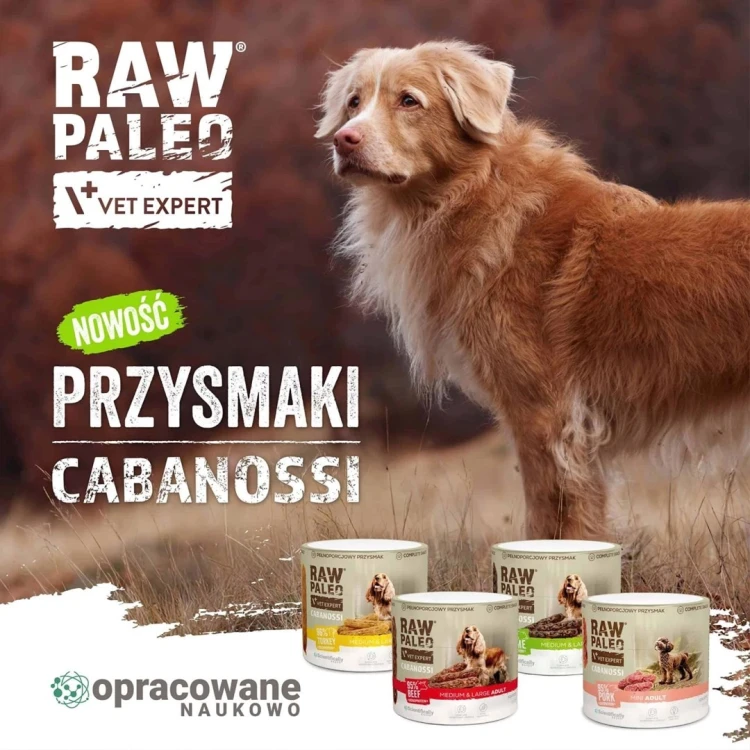 VetExpert Raw Paleo Cabanossi beef medium large 100g