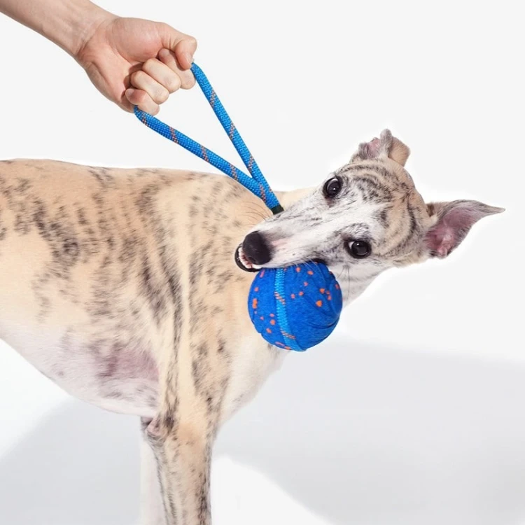 Cheerble Wicked Ball Air Rope