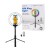 LogiLink AA0156 pierścień świetlny 95 LED