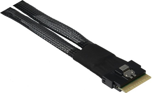 Inter-Tech 88885641 kabel SAS 0,75 m 24 Gbit/s Czarny