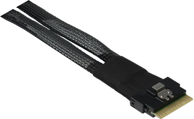 Inter-Tech 88885641 kabel SAS 0,75 m 24 Gbit/s Czarny