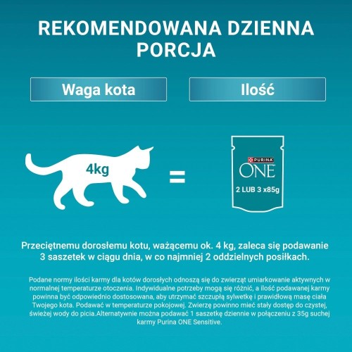 PURINA ONE Sterilcat GiG MVBf&Crt 60x85g