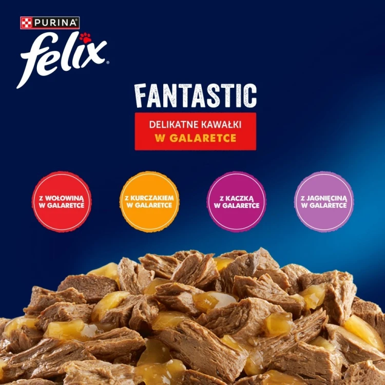 PURINA FELIX AGAIL GiJ MV Bf 44x85g