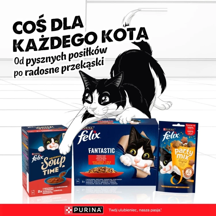 PURINA FELIX AGAIL GiJ MV Bf 44x85g