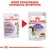 Karma ROYAL CANIN FHN Sterilised w sosie 12x85g