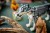 LEGO Creator 3w1 31393 - Leśne zwierzęta: Wilk szary