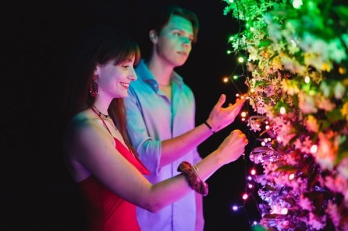 Twinkly Strings – 250 RGB+W Ciąg świetlny, przezroczysty przewód, typ wtyczki F