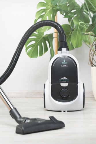 Eta Stormy Home 2,2 l Cylinder próżniowy Suchy 800 W Worek na kurz