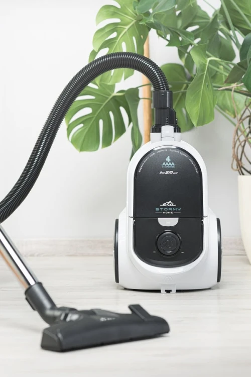 Eta Stormy Home 2,2 l Cylinder próżniowy Suchy 800 W Worek na kurz