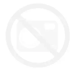 Lindy 36195 adapter kablowy 2 m HDMI Typu A (Standard) DVI-D Złoto, Szary